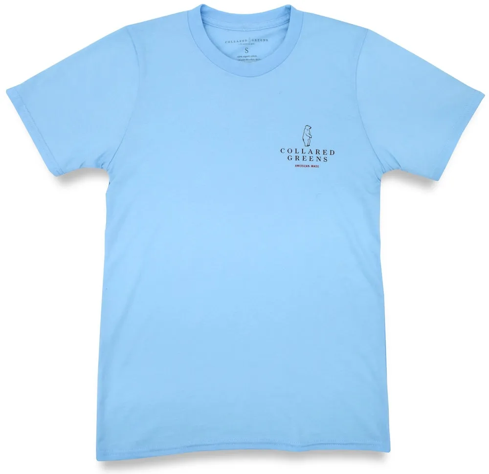 Pineapple Fountain: Short Sleeve T-Shirt - Carolina